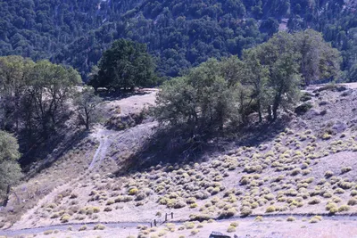 DSC_2256 (Large).JPG